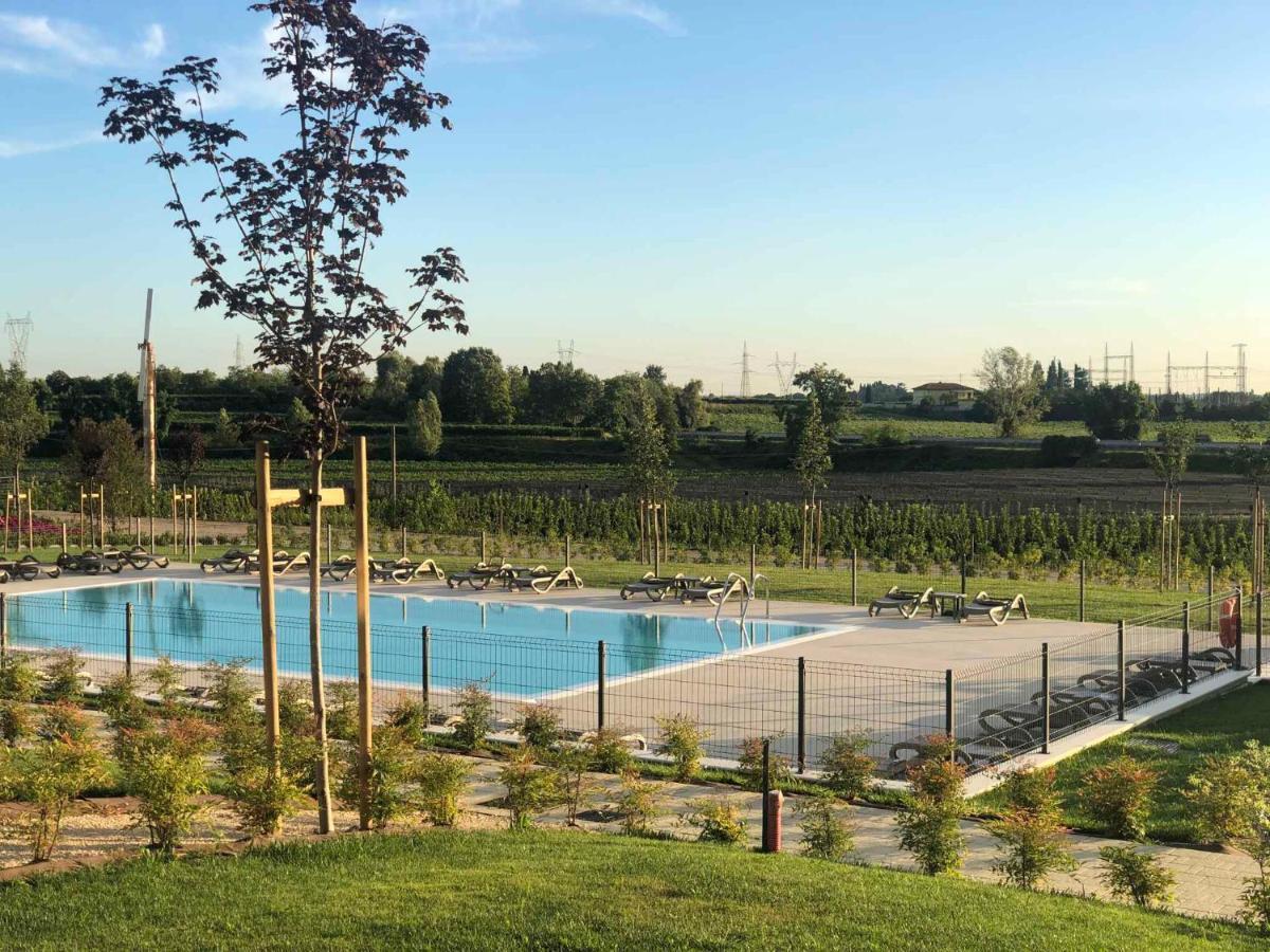 Agricamping Al Grappolo di Vino in Lazise - Gardasee Esterno foto